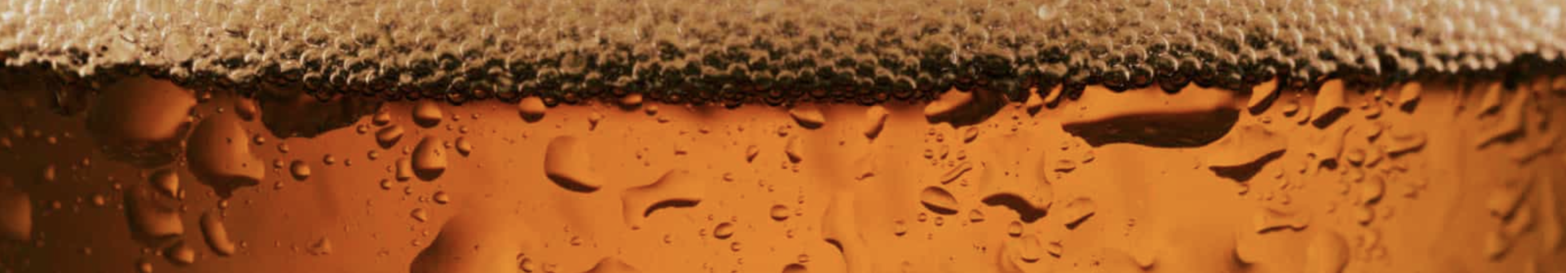 Banner 1